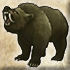 Halfmoon bear
