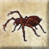 Spitting spider