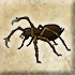Talon spider